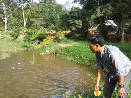 Merugi, Petani Ikan Kecewa Lambannya Pemkab Kuansing Carikan Solusi